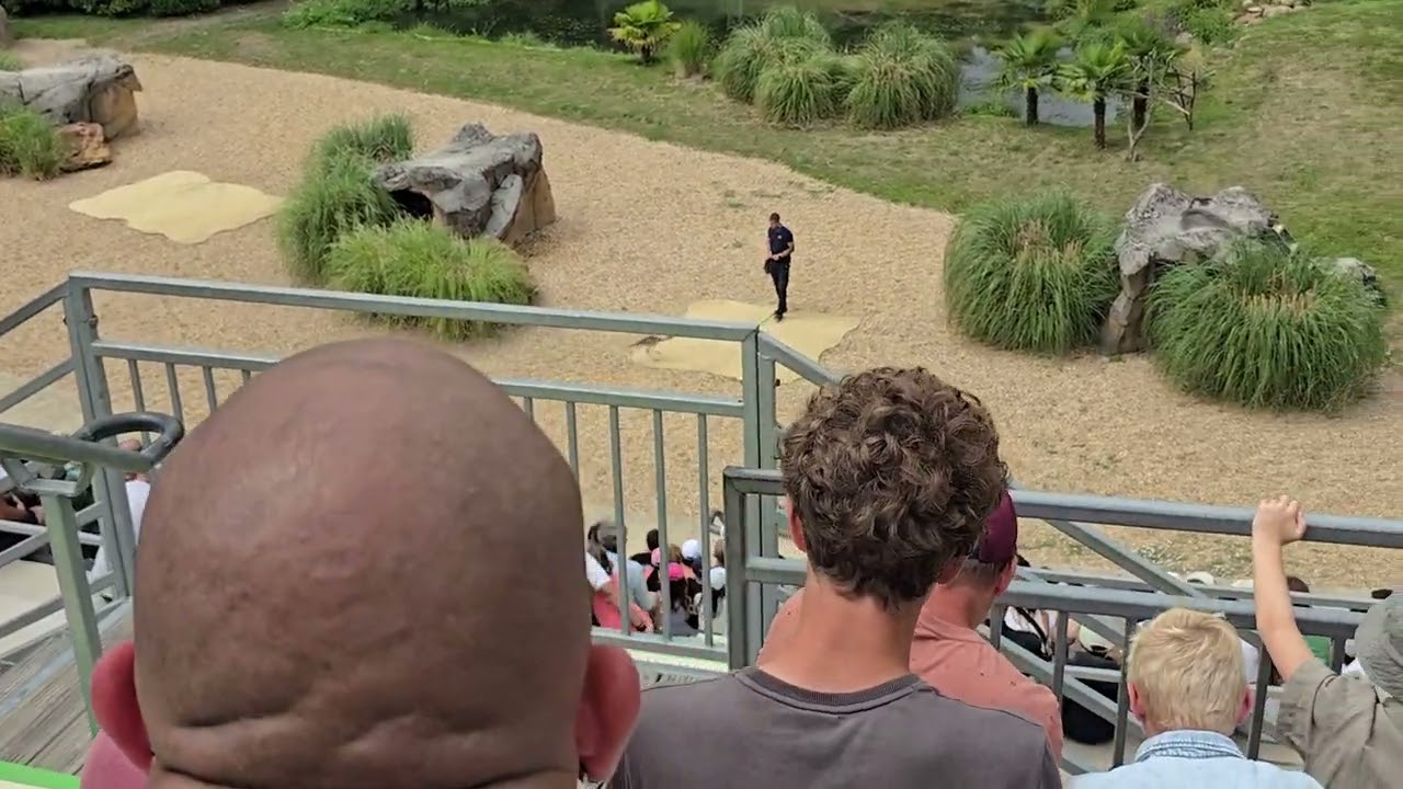 ZooParc de Beauval : Les maîtres des Airs