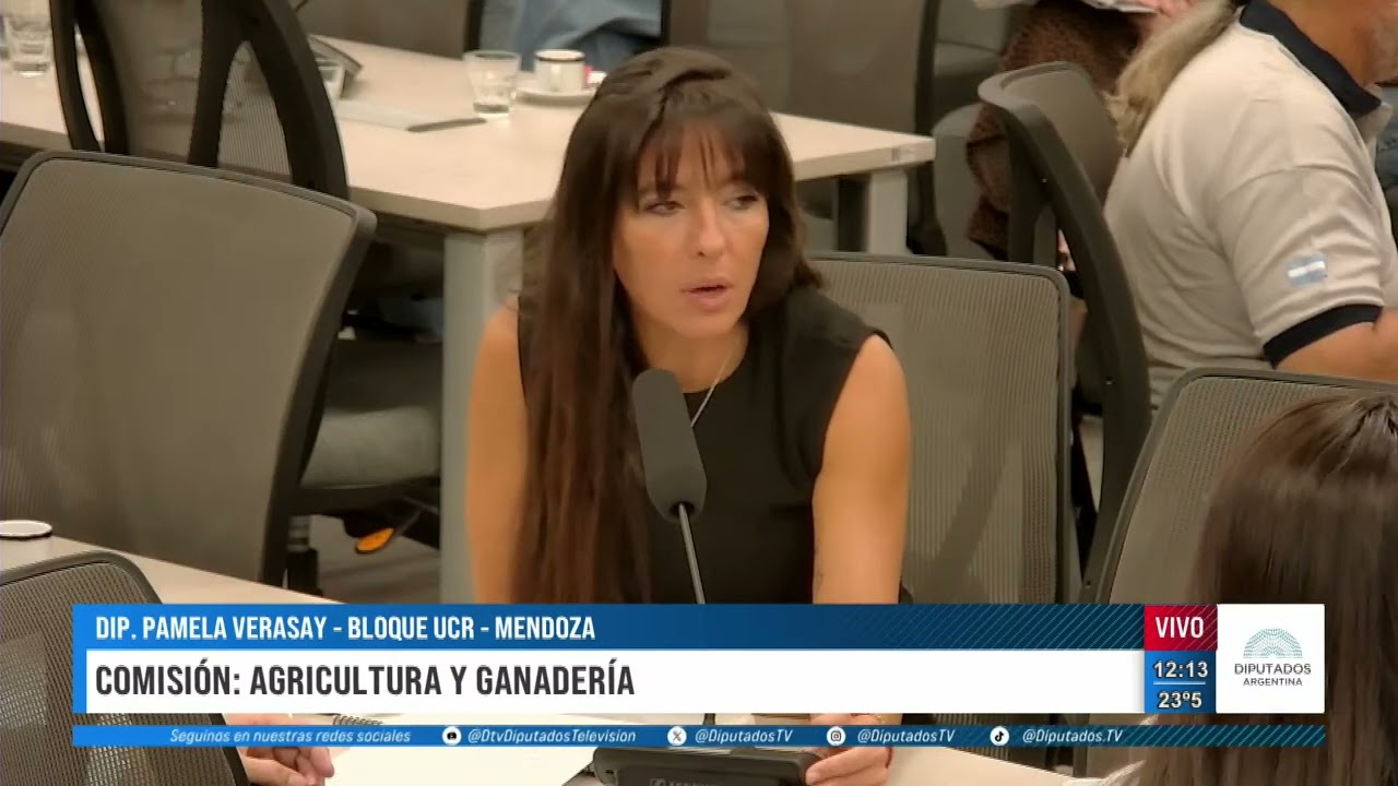 DTV Consenso con Melina Fleiderman - Programa 19/03/2026