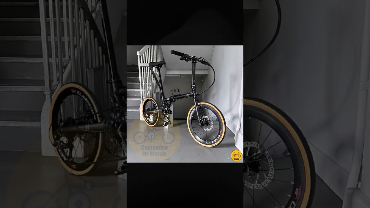 🎓 Fnhon Gust 20-inch Foldable Bicycle Featuring Schwalbe One Tyres & Black Shimano #fnhon