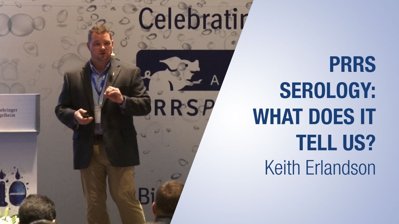 Keith Erlandson - PRRS serology: What does it tell us?