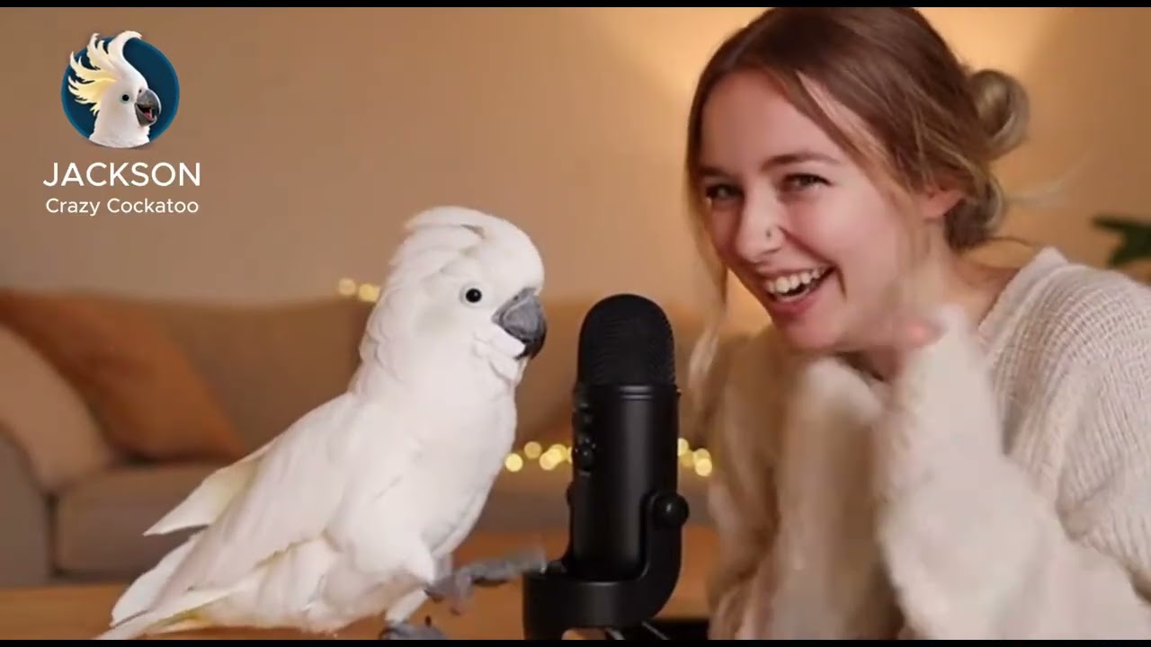 Джексон — лучший блогер 😂🕊️
