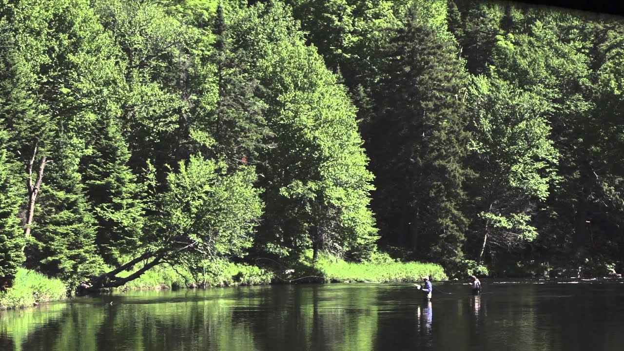 The Hungry Trout - Fly Fishing in the Adirondack Mountains