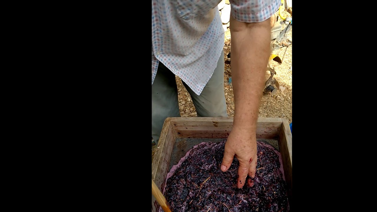 FAIRE DU VIN  MAISON