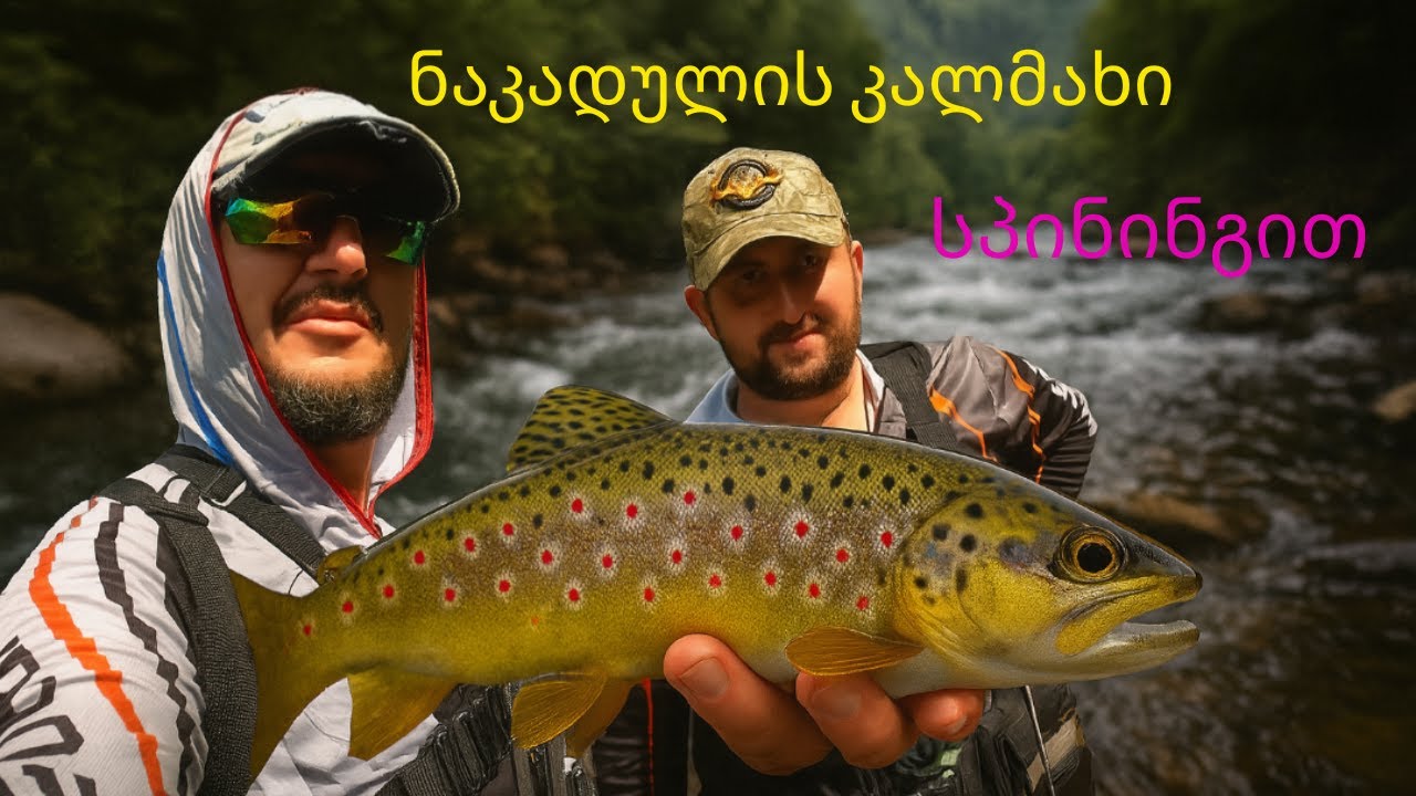 კალმახი სპინინგით
