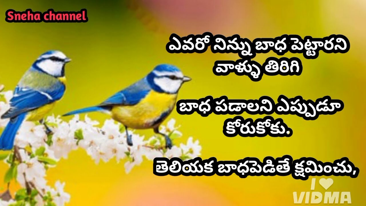 wonderful quotes#915#jivithasathyalu |Million dalar quotes |‌|Sneha channel