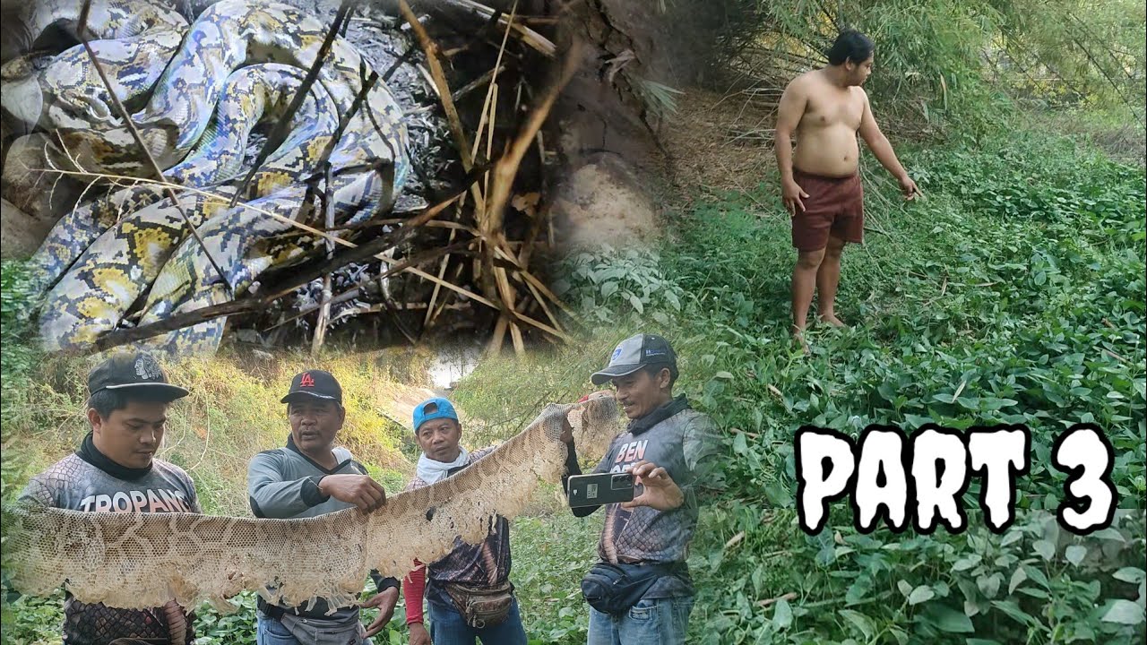 PART 3| Gabi  tinugis ang dambuhalang sawa