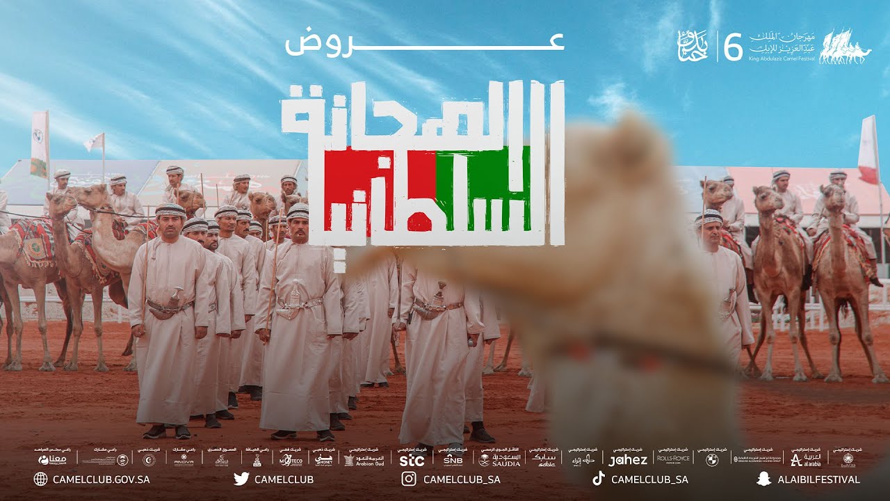 عروض الهجانة السلطانية العمانية 🇴🇲 #مهرجان_الملك_عبدالعزيز_للإبل6