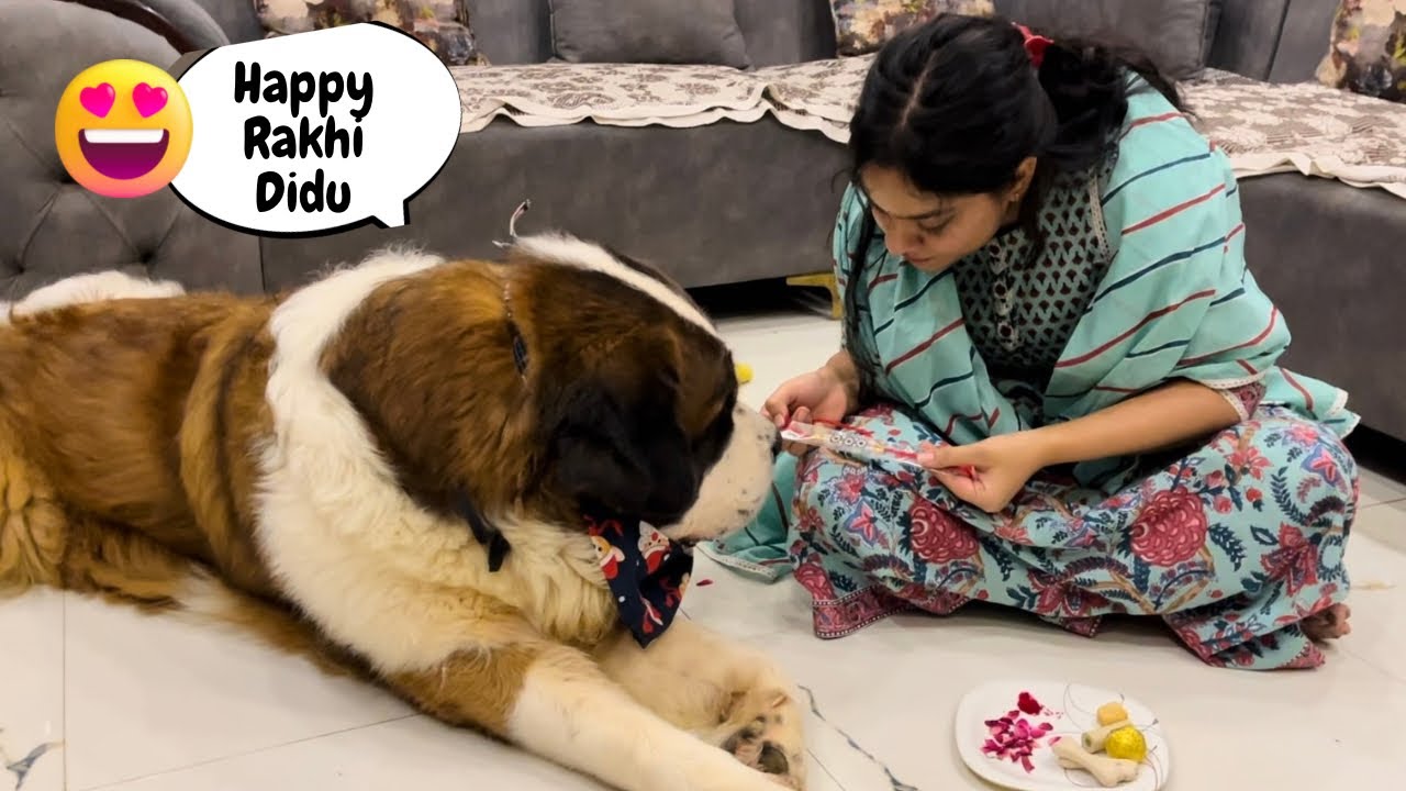 The cutest Rakhshabandhan ever 🥰❤️🧿