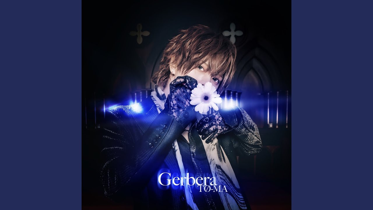 Gerbera