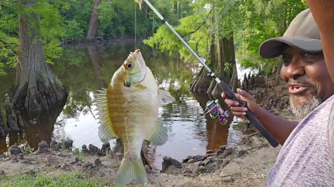 24 Hour Catch Clean and Cook!