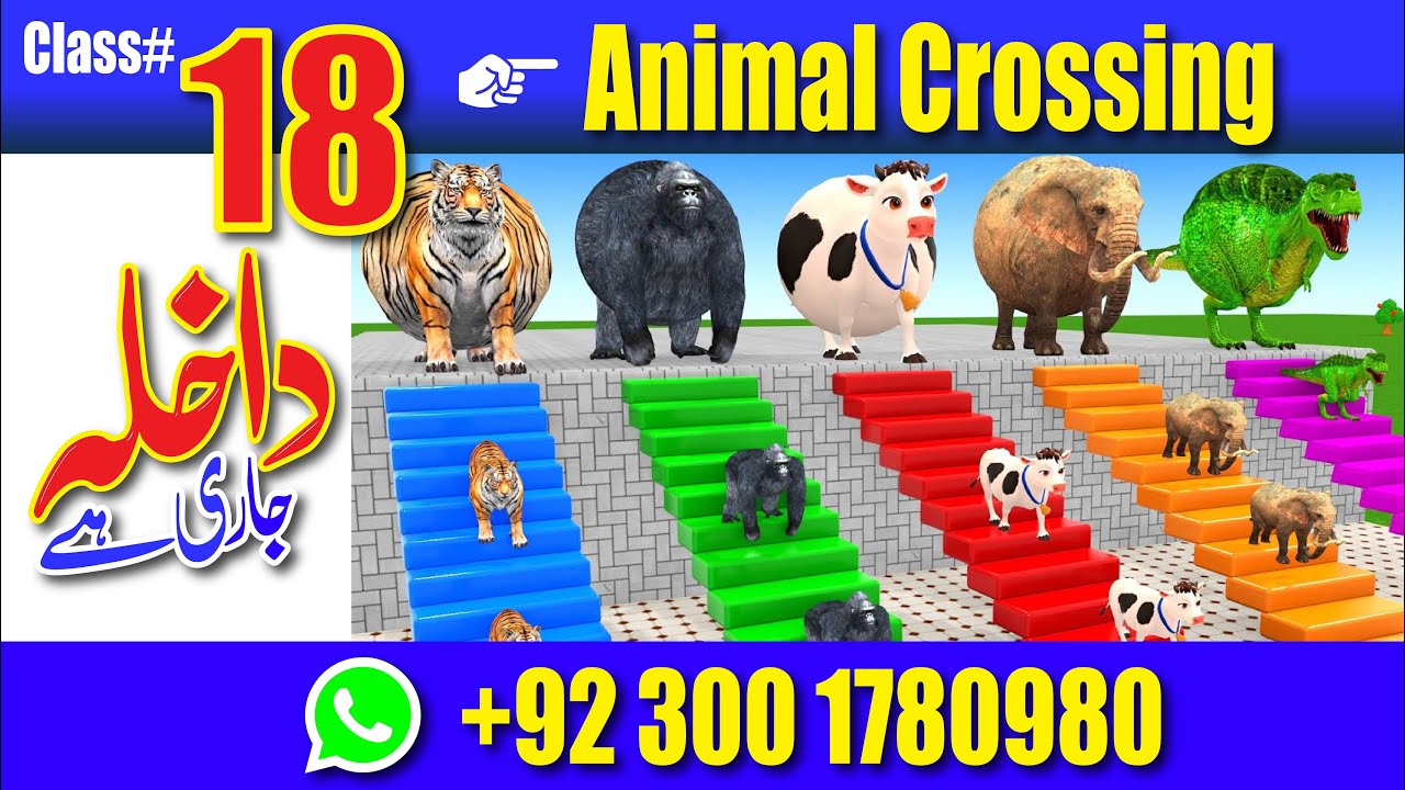 Animal Crossing Fountain Full Course in 15 Days | class 18