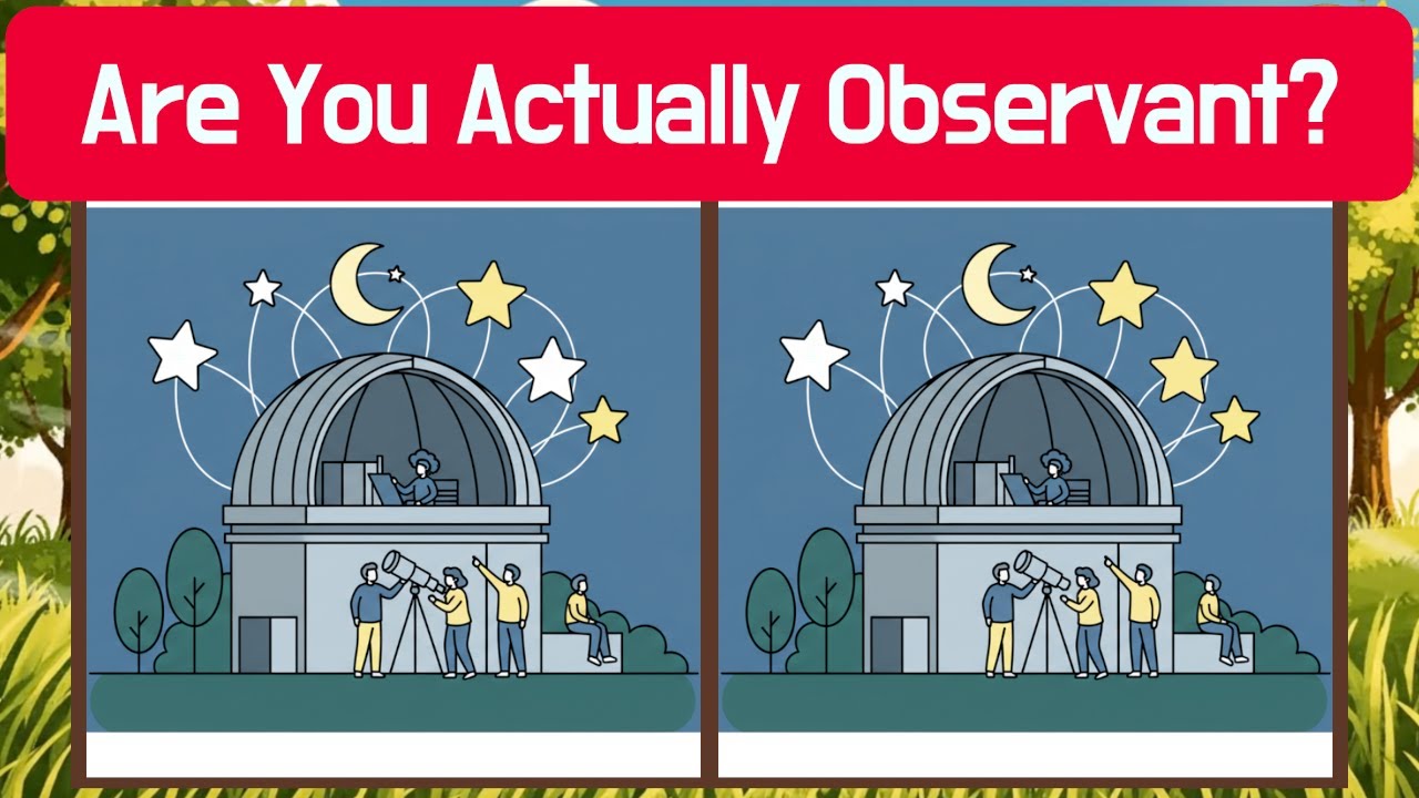🦉 Are You Actually Observant? (Find 3 Differences, 5 Rounds) | Detective Owl 🦉