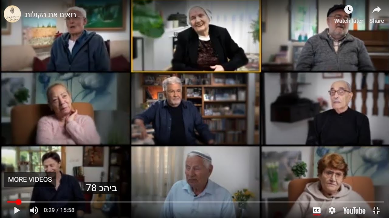 רואים את הקולות