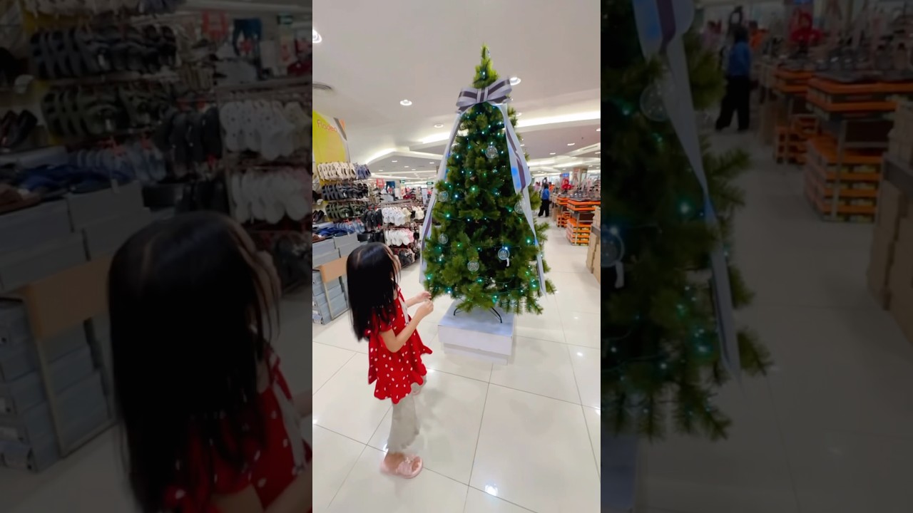 MERRY XMAST🎄🎅🏻 #natal #harinatal #christmas #merrychristmas #merrychristmas2024