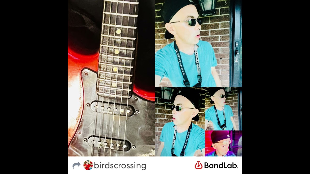 Birds crossing Got a ghost 1/20/2026 Written by Michael prestein James 