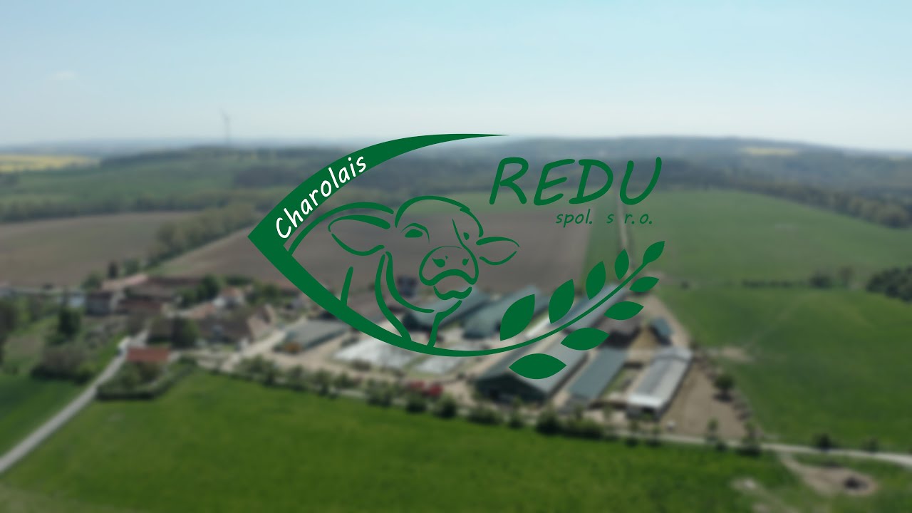 Redu Charolais - Dokumentární film