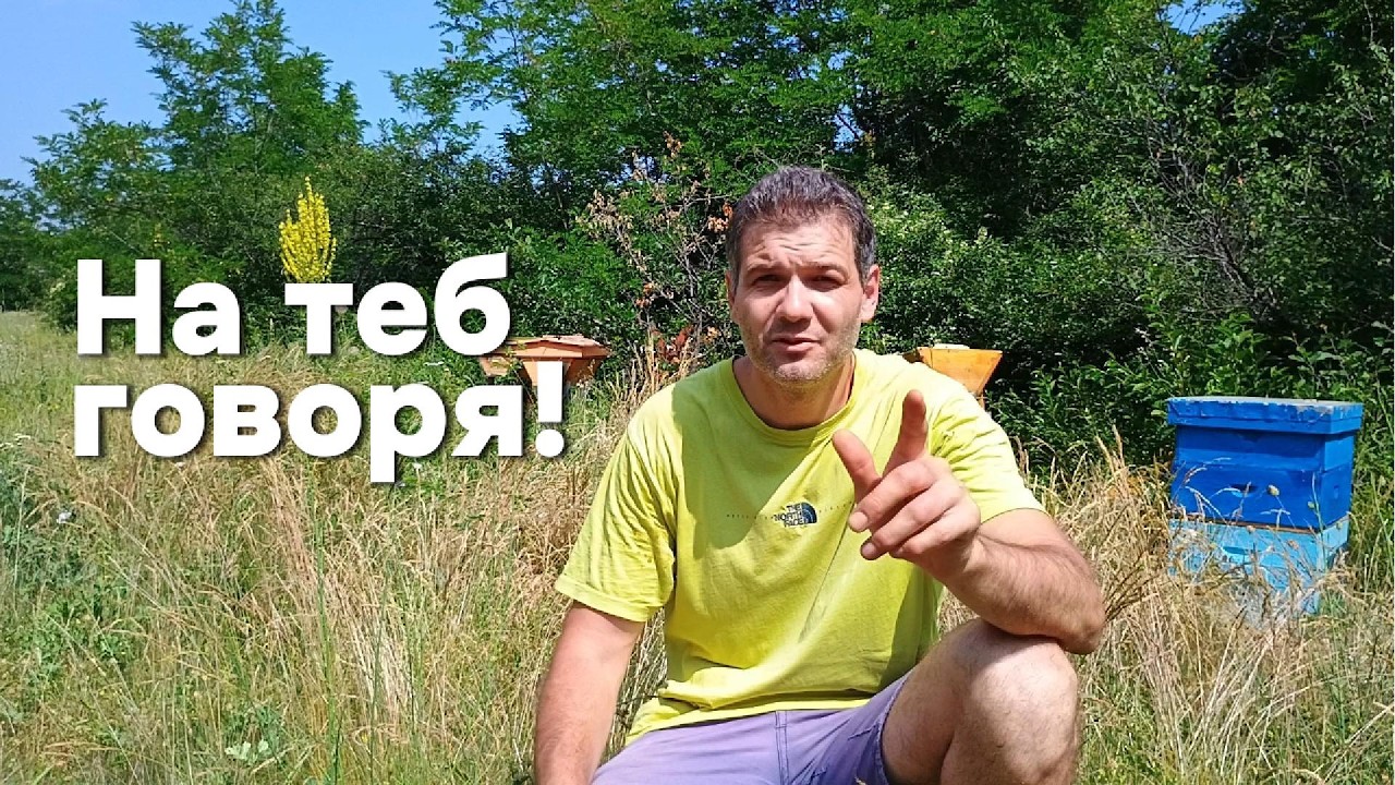 Всичко важно за сезона – в едно видео! Роене, мед, отводка... спасение?