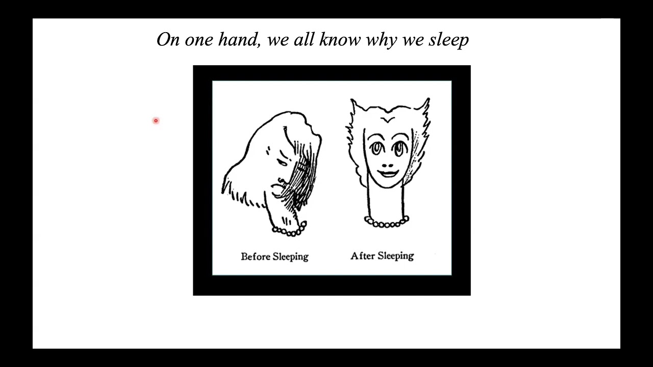 Lezioni di Fisiologia - Prof.ssa Chiara Cirelli: Sleep functions: an overview