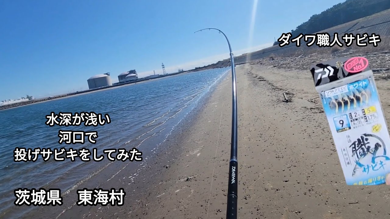 [　茨城県　東海村　]　久慈川河口　[　水深が浅い河口で投げサビキをしてみた　]　(ダイワ職人サビキ)　#曲/人魚のラテ