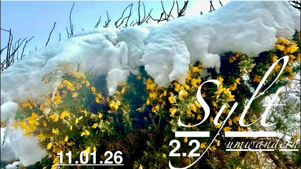 Sylt 🥰 Insel umwandern 🥾🥾 2. Video Teil 2