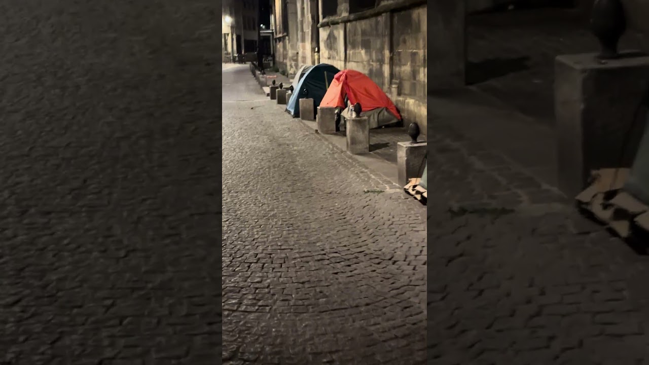 Les Rats 🐁 &Agrave; Paris - Paris Everyday 💫