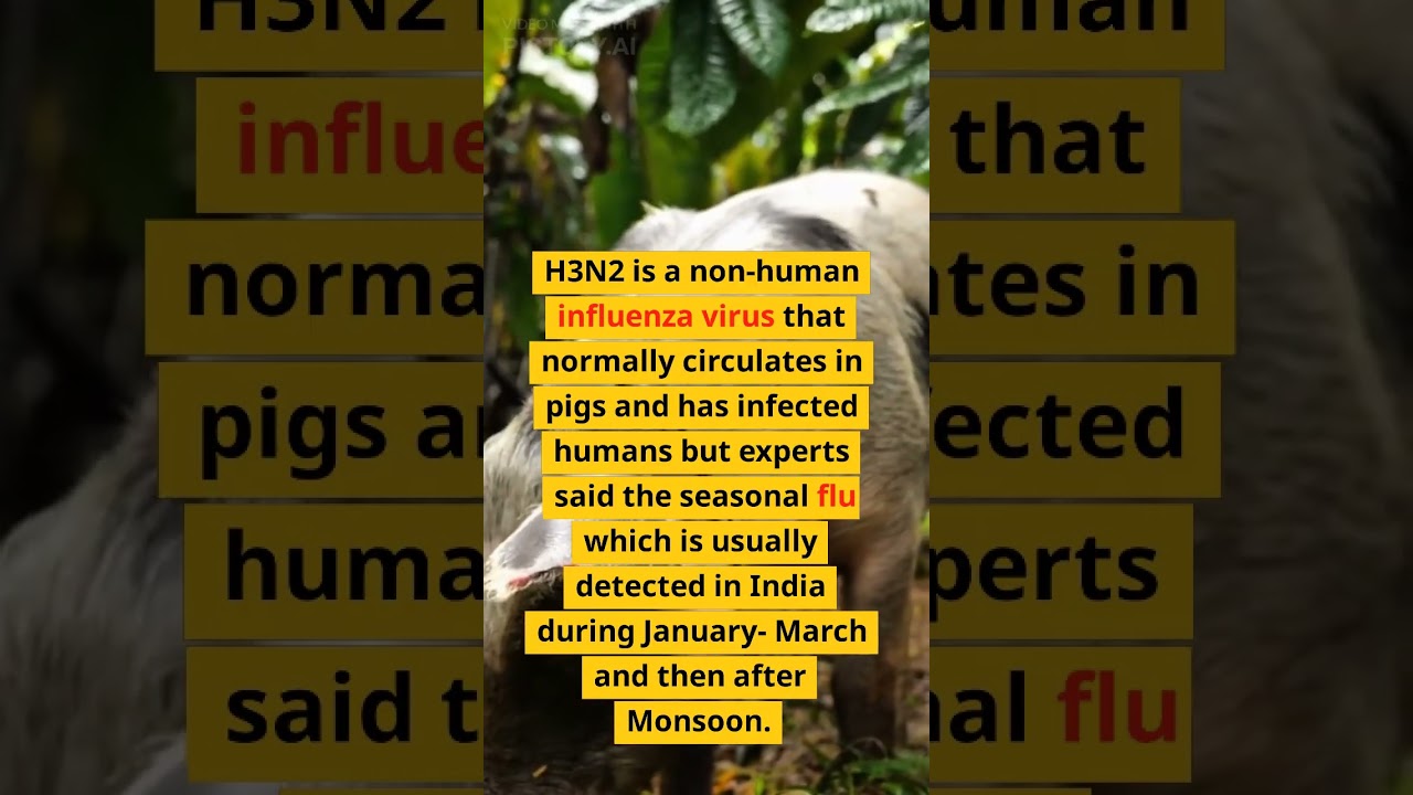 What is H2N3 virus? Is it life threatening?