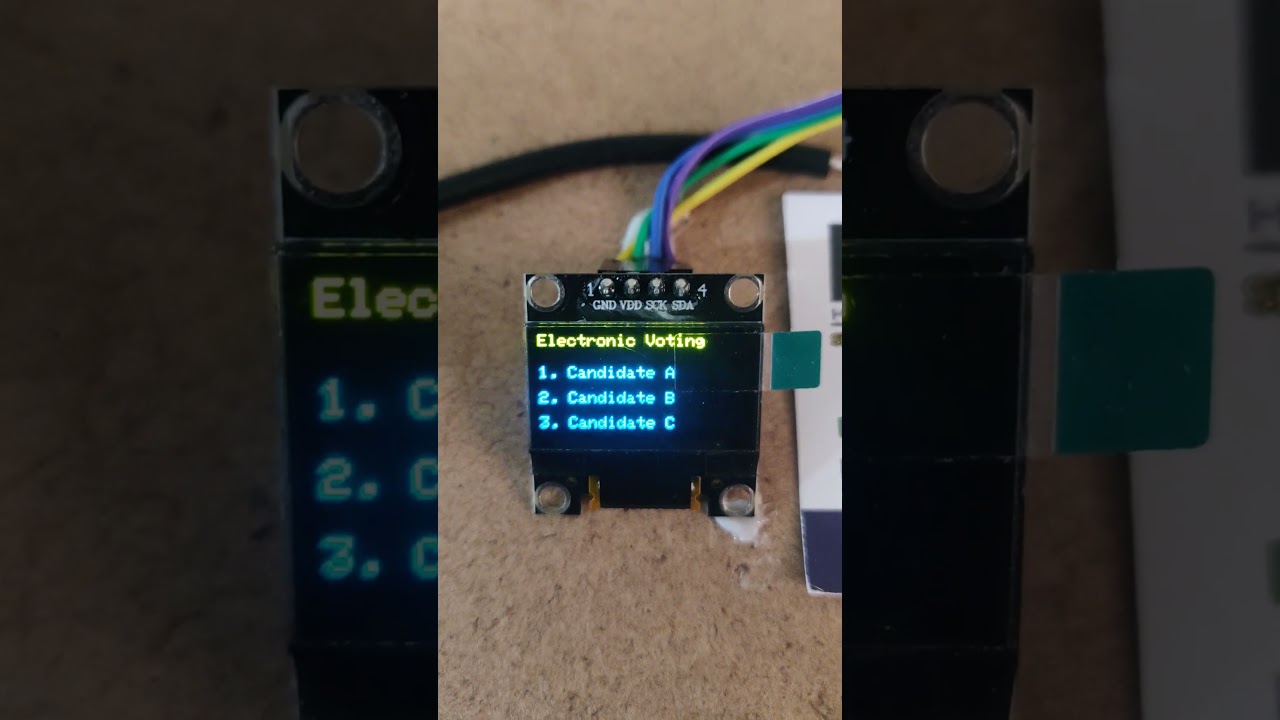 Electronic voting machine