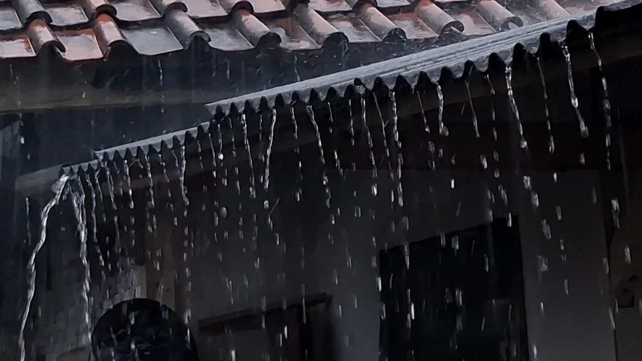 LIVE Rain Sounds for Sleeping 🌧️ Heavy Rain on Roof | Fall Asleep Fast Tonight