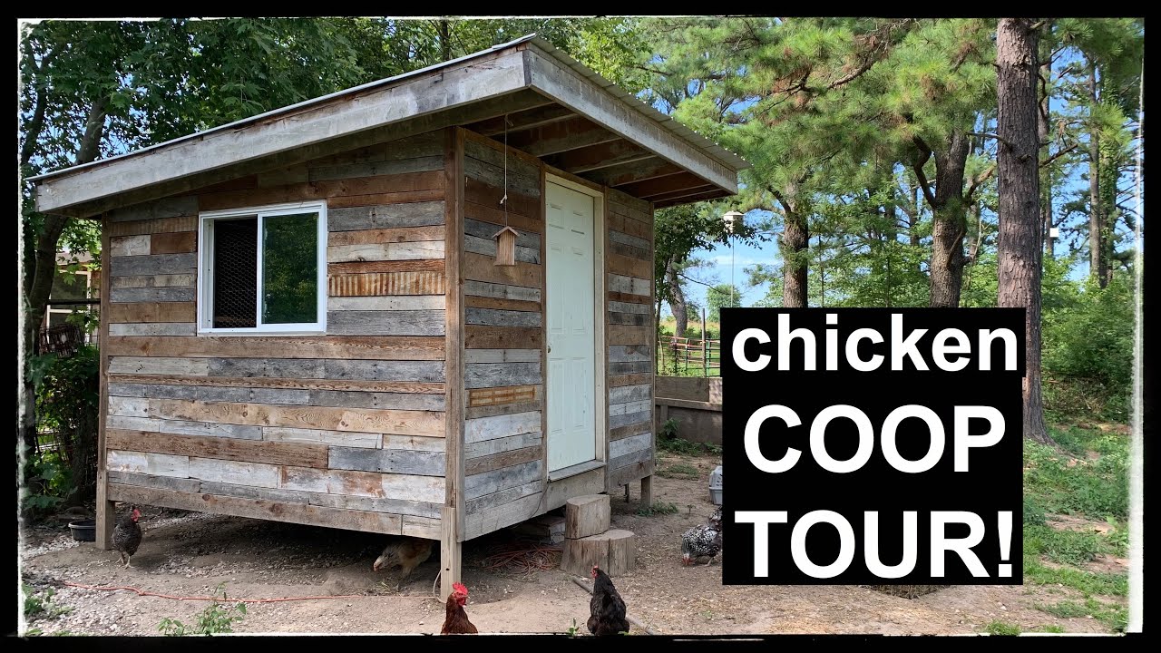 CHICKEN COOP TOUR & New GRAIN MILL (we weren't satisfied)