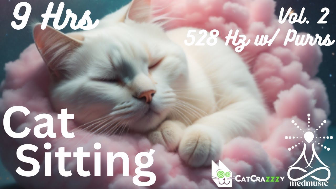 Calm Your Cat with The Ultimate Zen Music and Real Purrs