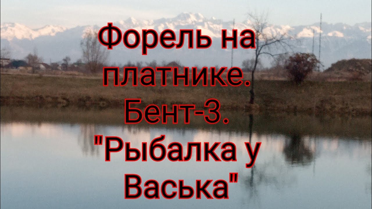 Форель на платнике. Бент -3. 