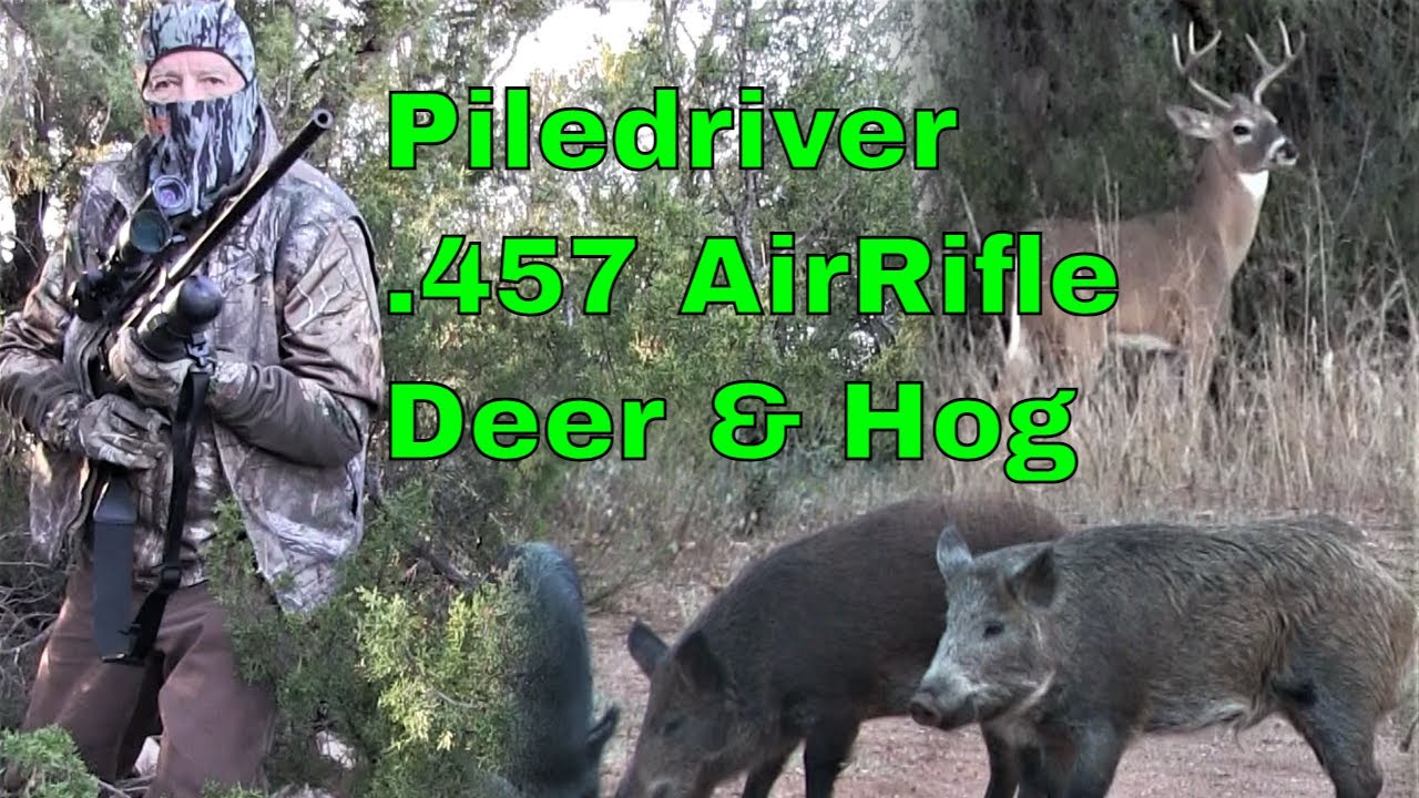 Airgun Hunt: Hatsan Piledriver .457 for Pigs and Deer