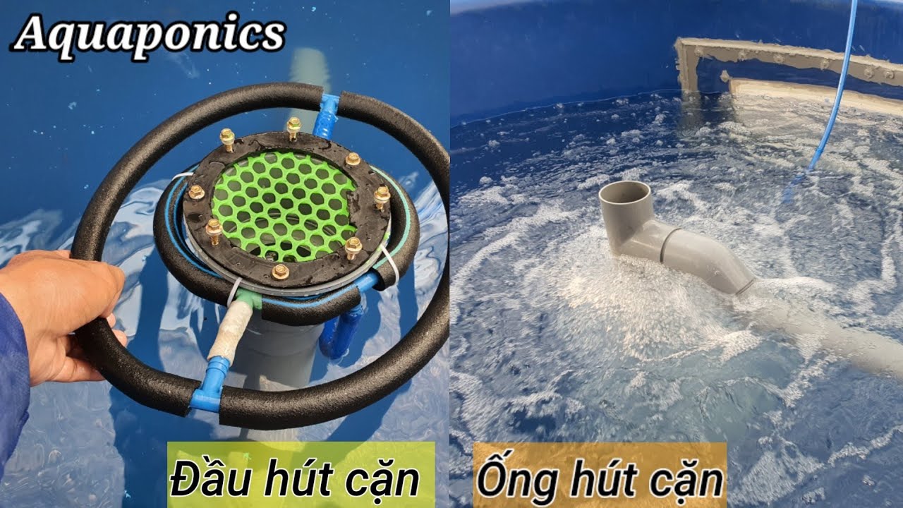 Đi ống, Làm Đầu Hút Cặn Đáy Đơn Giản Hay Tối Ưu Nhất cho Bể Cá kết hợp chống Tràn AQUAPONICS