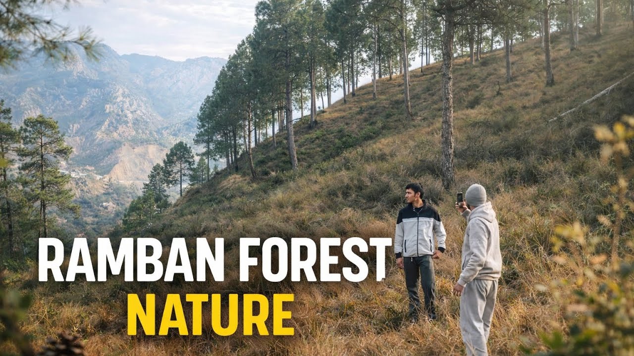  forest nature in ramban  vlog #subscribe #lifeisbutadream #like #trending #vlog #100k 