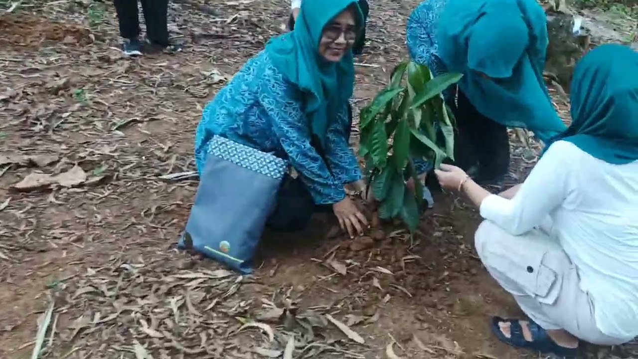 Program Rabu Pon / GERAKAN IBU MENANAM POHON 