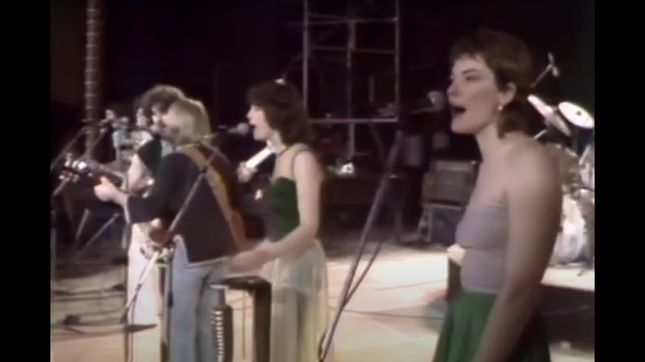 The Ferrets - Bye Bye Baby (Live)