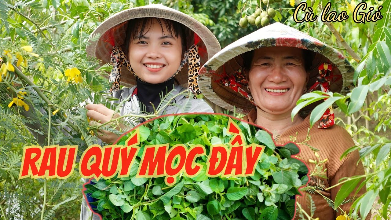 Hái Rau Dền Miền Tây – Loại Rau Quý Mọc Dại Khiến Ai Cũng Bất Ngờ | Cù Lao Gió T232