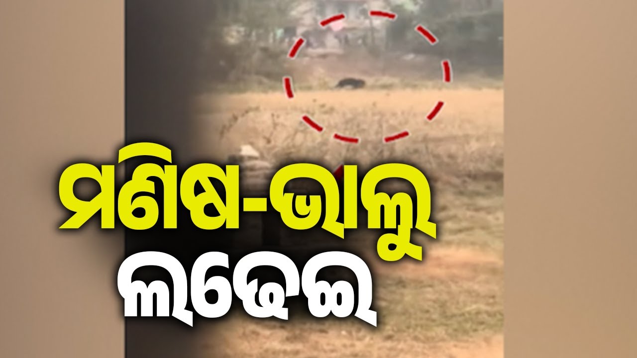 Student Injured in Wild Bear Attack Admitted to Hospital in Balasore | Kalinga TV