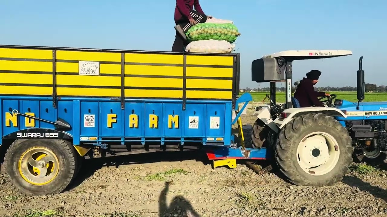 ਝਾੜ ਪੁਰਾ ਵਧੀਆ ਏ 🥔🥔ਦਾ ਪਰ ਰੇਟ ਹੈਨੀ ਇਸ ਵਾਰ/ਖੇਤੀਬਾੜੀ ਮਹਿਕਮਾ/