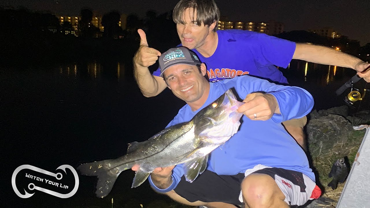 HAMBURGER BUN SNOOK # 39 and 40!!! IN THE POT! CATCHING FAT SNOOK - Centropomus parallelus