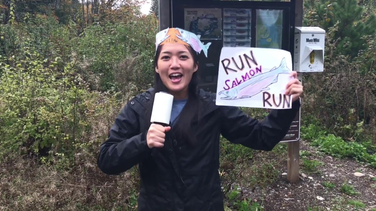 Kitsap Salmon Report