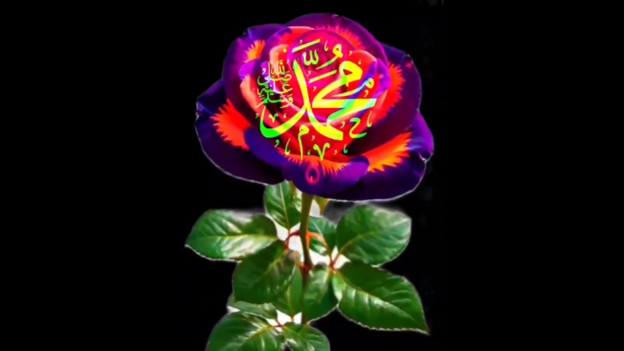 اے ایمان والو کسی کے ساتھ ظلم اور زیادتی نہ کریں اللّٰہ پاک سے ڈرو