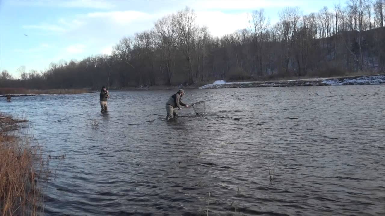 Swing for Winter — Steelhead Fly Fishing
