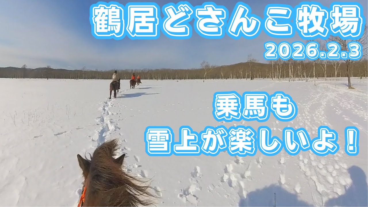 【鶴居どさんこ牧場】第374回 雪上を駈け抜けろ！鶴居どさんこ牧場で雪上乗馬（2026.2.3）
