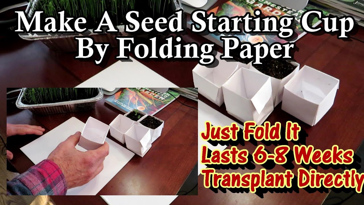 How to Make Seed Starting Cups by Folding a Sheet of Paper: All the Steps Explained!