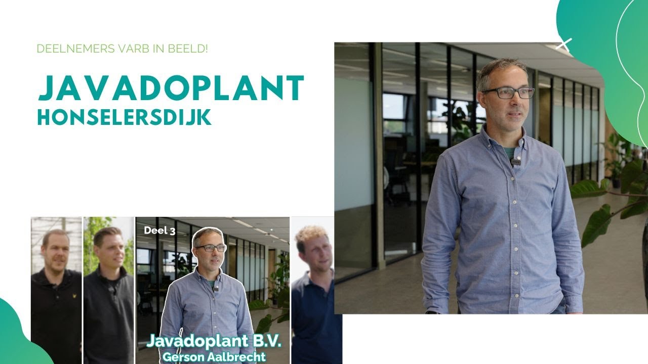 Javadoplant 🍀 - Varb komt naar je toe deze zomer