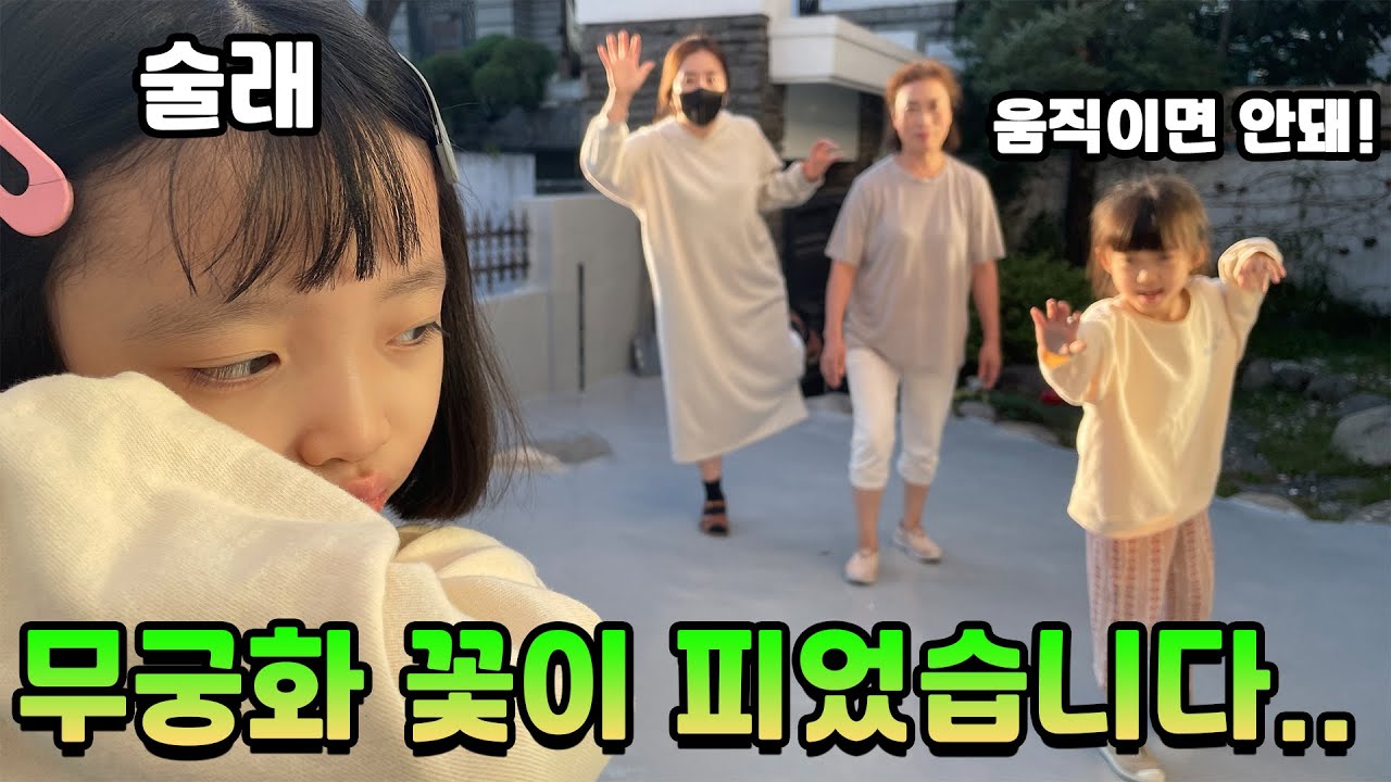 무궁화 꽃이 피었습니다 게임을 가족들과 같이 해봤어요 누가 제일 잘할까요?