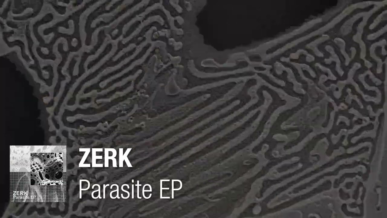 ZERK - The Host