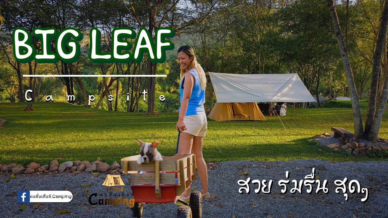จุดกางเต็นท์ เพชรบุรี Big Leaf Camp ลานกางเต็นท์ที่สงบร่มรื่น Ep.47 หมาเข้าได้ Camping with my dog