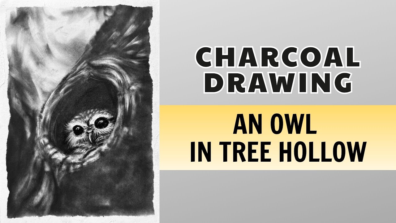 #216 Drawing a Charcoal Owl &ndash; Realistic Charcoal Art of an Owl in Tree Hollow